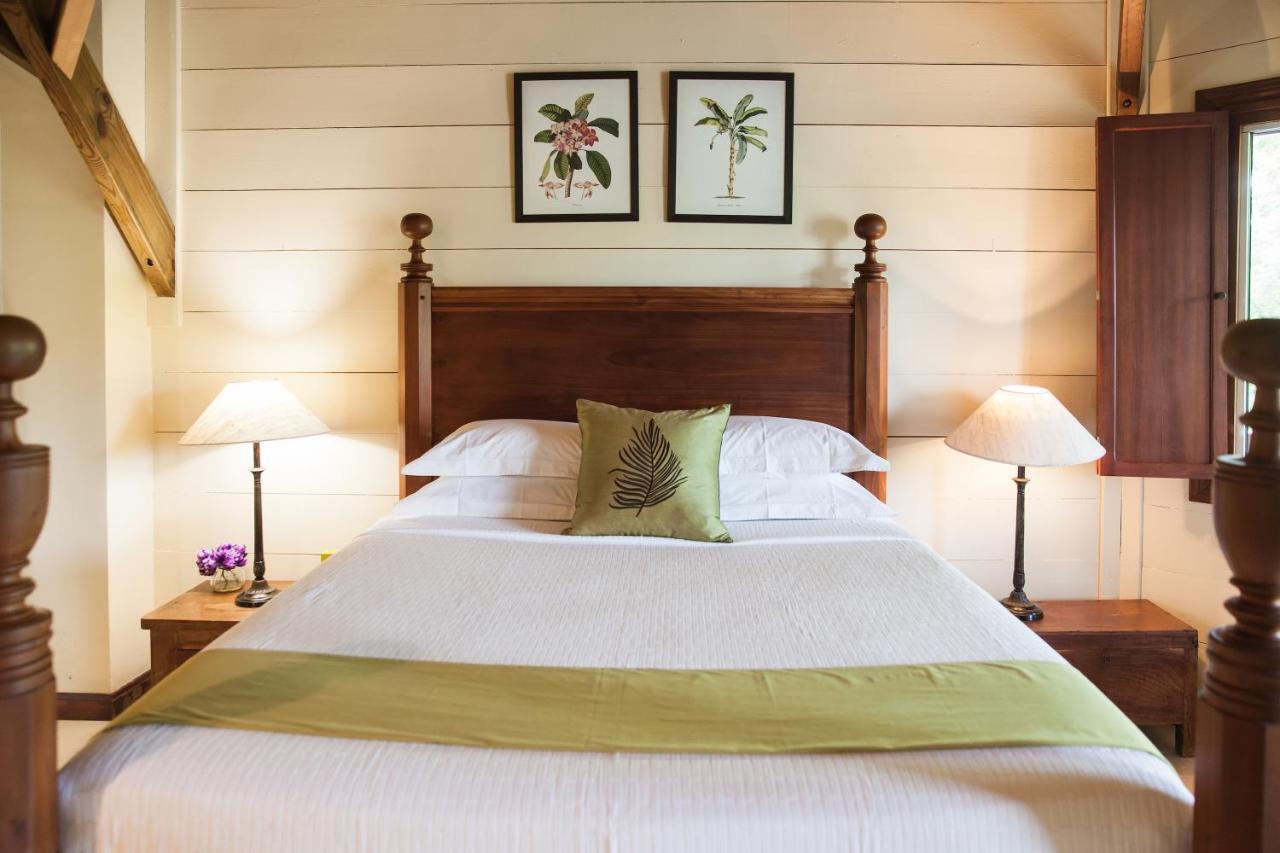 Villa Palm Bay Stunning View 5 Min To Beach 3 Min To Downtown King Size Bed Deshaies Ngoại thất bức ảnh